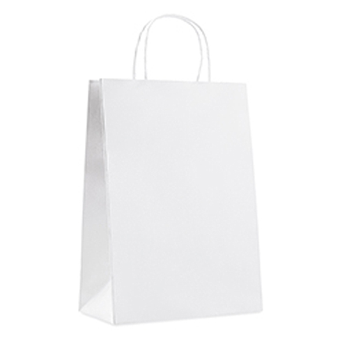 Gift paper bag large size